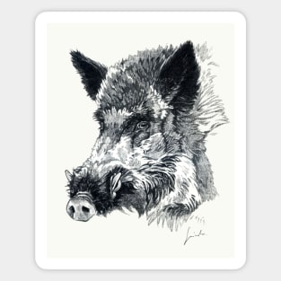 Wild boar head Magnet